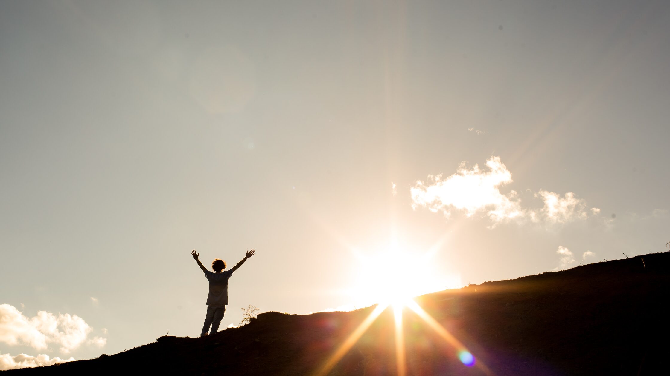 Crafting Personalized Health Goals: A HEAL Movement Challenge Approach