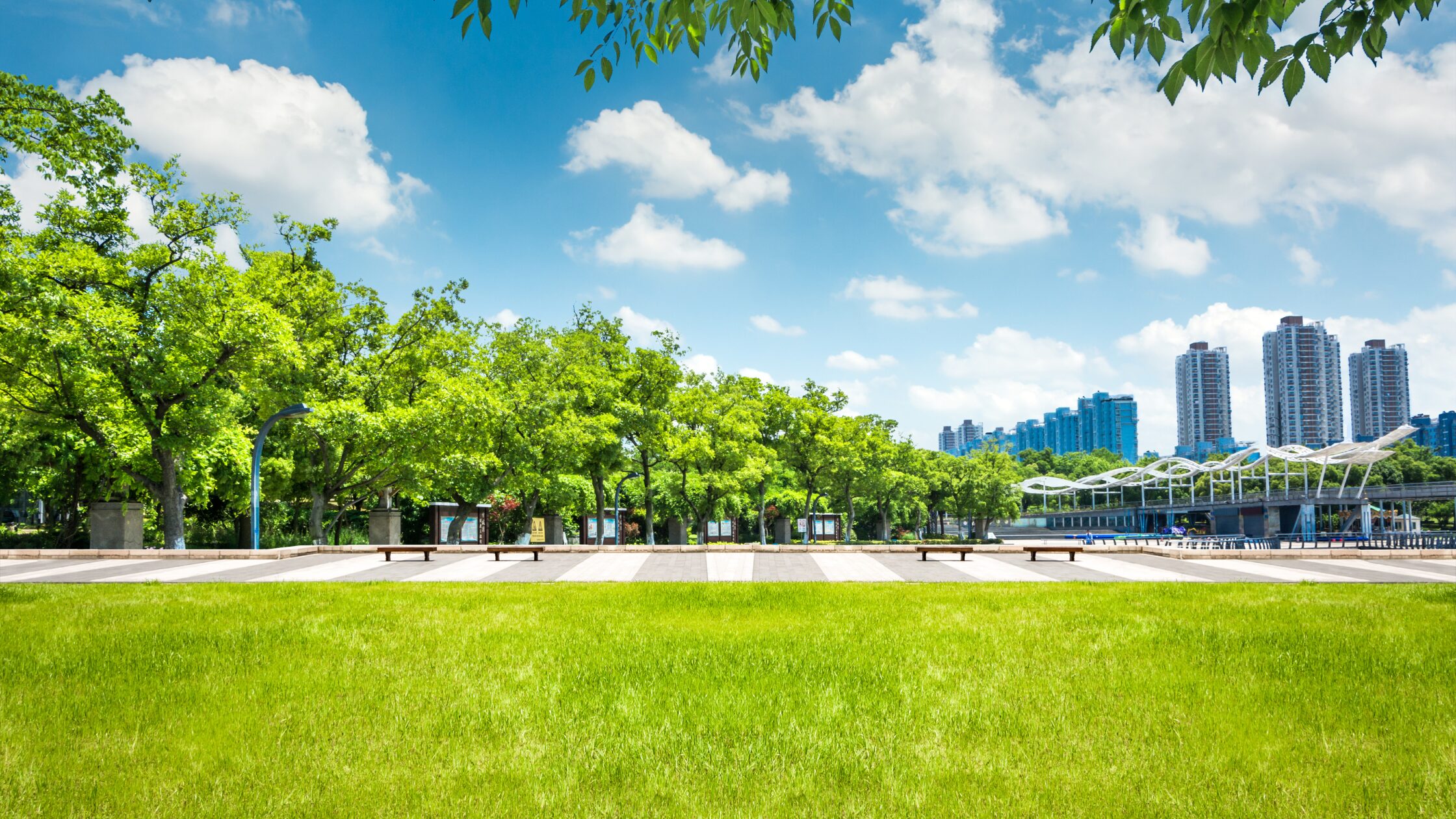 Urban Hikes: Exploring the City with a Purpose